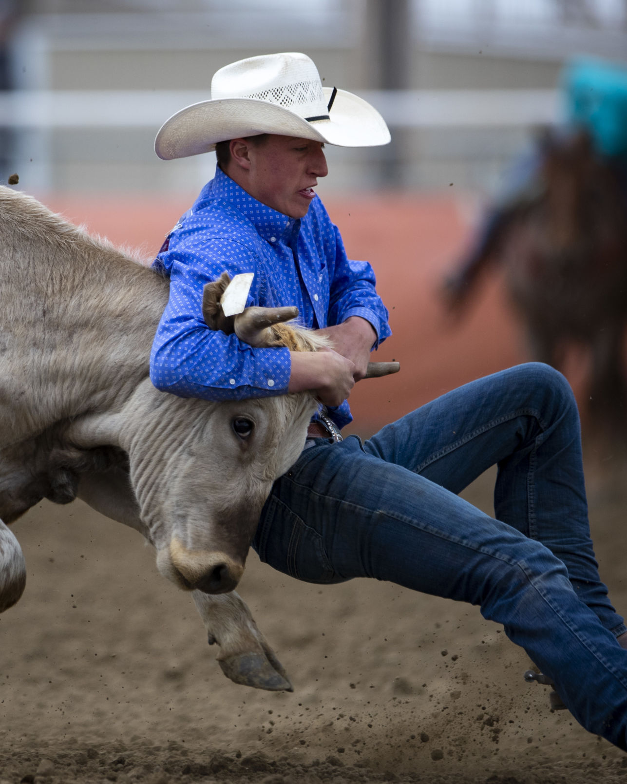 Montana High School Rodeo Association state championships